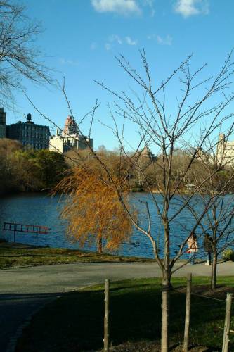 NYC_2006-12-04 14-24-41